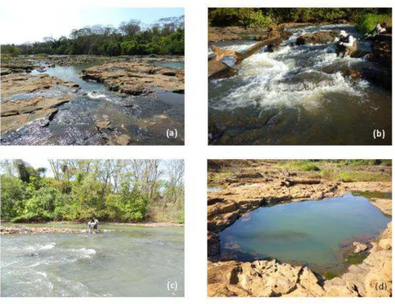 Fig. 2 General view of a knickzone (a) formed by rapid (b), run (c) and pool (d) habitats  in Sapucaí-Mirim River, Brazil
