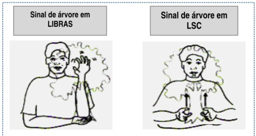 Figura 1 Exemplos do sinal de árvore em LIBRAS e em LSC  Fonte: Paraná (1998) 