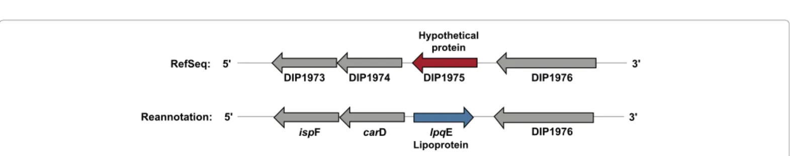 Figure  1:  Re-­annotation  and  correction  of  Open  Reading  Frame.  ORF  DIP1975  (red),  in  the  wrong  orientation  annotated  in  the  C