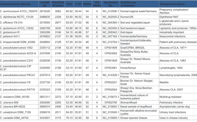 Table  3:  The  Corynebacterium  species  selected  for  comparative  genomic/proteomic  and  pathogenomic  analysis.