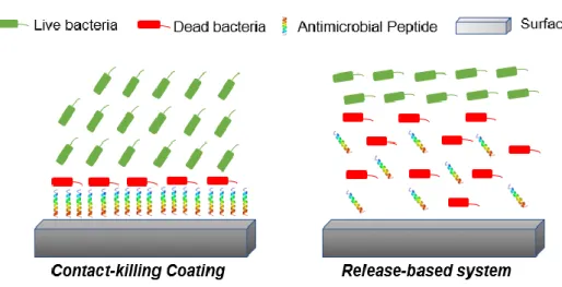 Figure 11: Different strategies to use AMPs on biomaterials. Contact-killing materials kill only by contact,  while  Release-based  systems  deliver  AMPs  locally,  and  direct  contact  between  the  microorganism  and  material is not required