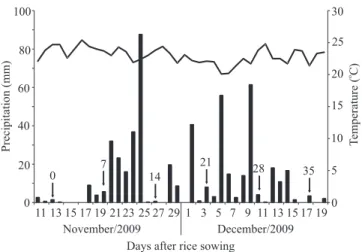 Figure 1. Precipitation and temperature at the experimental  site during the first six weeks of rice growth