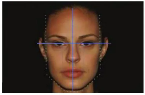 Figura 2  – Desenho do “ T ” facial, a partir da  linha  interpupilar  e  da  linha  média  facial  (Adaptado de Conceição et al, 2005)