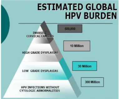 Figura 2 – Estimativa global da incidência da infecção por HPV; (Adaptado de WHO, 2005)