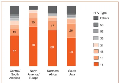Figura 5 – Epidemiologia dos tipos de HPV 