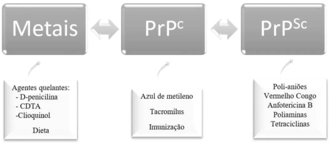 Figura 7. Possíveis terapêuticas das doenças priónicas (Adaptado de Forloni et al., 2013)