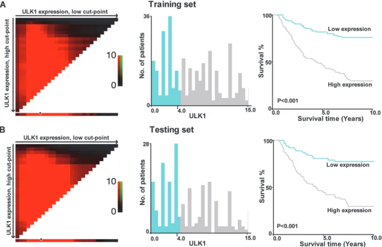 Fig 2. X-title plots of ULK1 expression for optimal cut-point selection in the training cohort