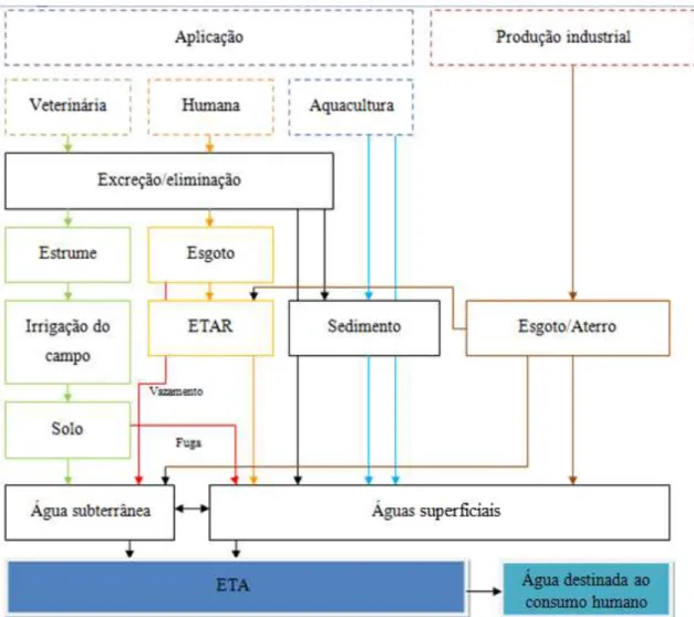 Figura 1- Diferentes caminhos de fármacos no meio ambiente (Adaptado de Hirsch  et al