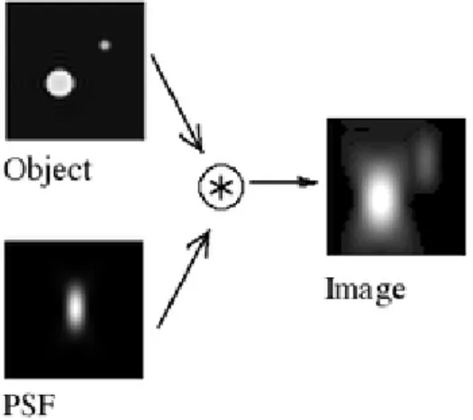Figure 3.1: Image formation in a microscope: central longitudinal (X Z) slice. The 3D acquired distribution arises from the convolution of the real light sources with the PSF.