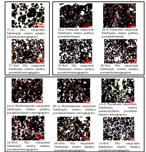 Figura 5 - Fotomicrografias das lâminas delgadas dos horizontes representativos dos perfis de LVdf