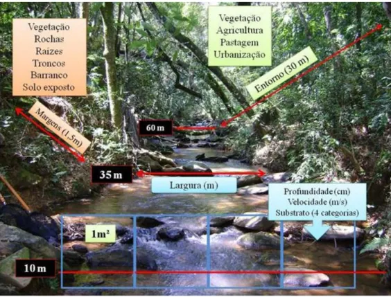 Figura 4: Esquema da coleta de dados ambientais nos trechos de riachos amostrados. 
