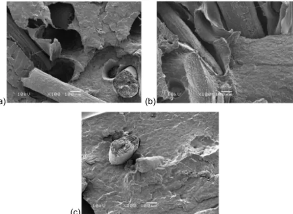 Figura  3.17:  Micrografias  da  superfície  de  fratura  do  compósitos  com  10%  de  fibra  de  coco  (a)  sem  compatibilizante,  (b)  com  0,5%  de  PPVTES  e  (c)  com  0,5% de PP-g-MAH [35]