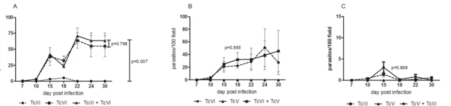 Fig 1. Parasitemia in peripheral blood of singles and mixed infections. This variable was measured by microscopic observation, of animals inoculated with single and mixed isolates