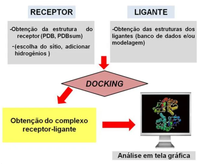Figura 2.1 Fluxograma das etapas de execução do estudo de docking. 