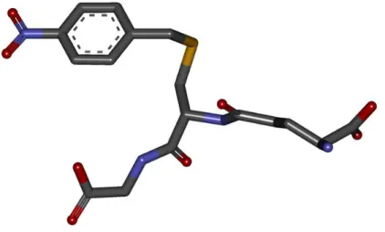 Figura  3.1  Ligante  S-(p-nitrobenzil)-glutationa  (Nb-GSH)  -  (GTB)  utilizado  na  validação  dos  parâmetros  escolhidos para os cálculos de docking