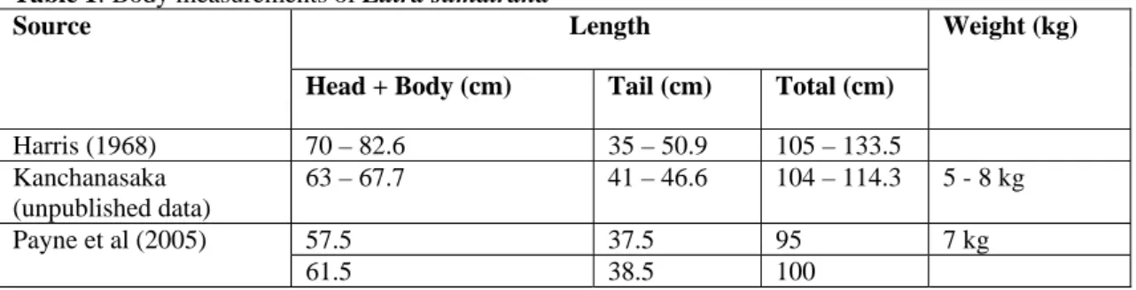 Table 1: Body measurements of Lutra sumatrana 
