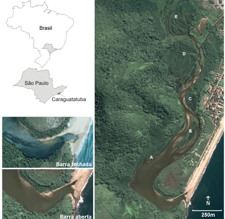 Figura  1.  Localização  regional  e  imagem  aérea  do  Estuário  do  Rio  Massaguaçu