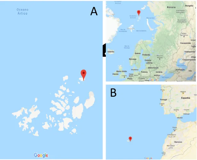 Figure 2 – Sampling sites location. A – Arctic Mid-Ocean Ridge. B – Madeira Archipelago