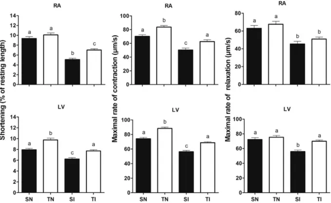 Fig. 10.Effect of exercise training on cardiomyocytes contractility in control and T. cruzi infected rats