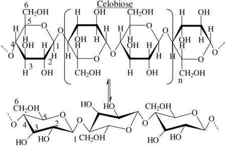 Figura 1 - Estrutura da Celulose  Fonte: Autor, adaptado de D`Almeida, 1988 