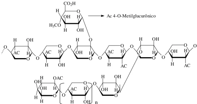 Figura 4 - Estrutura da o-acetil-4-o-metil-glicurono-xilana  Fonte: Autor, adaptado de Jacobs e Dahlman (2001) 