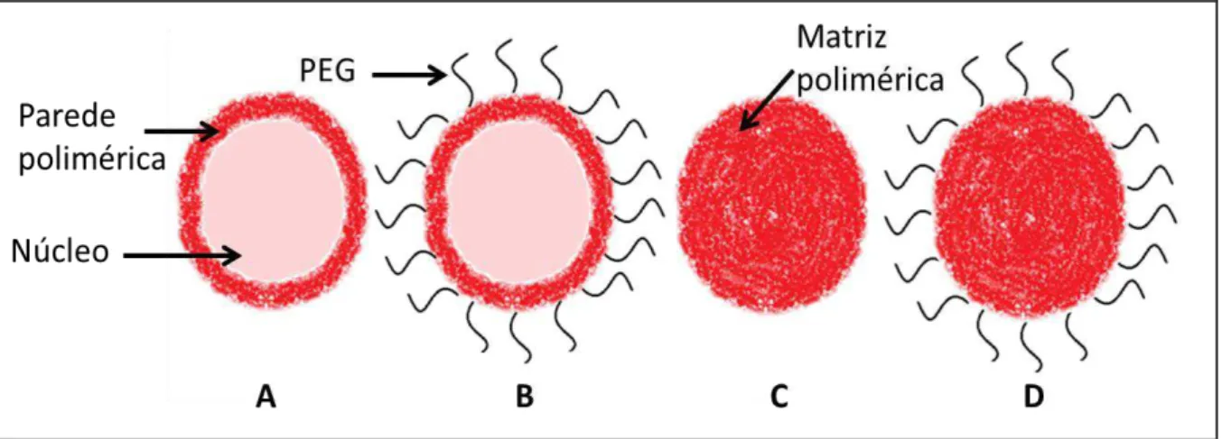 Figura 4: Representação esquemática de nanocápsulas (A e B) e nanoesferas (C e D) poliméricas: 