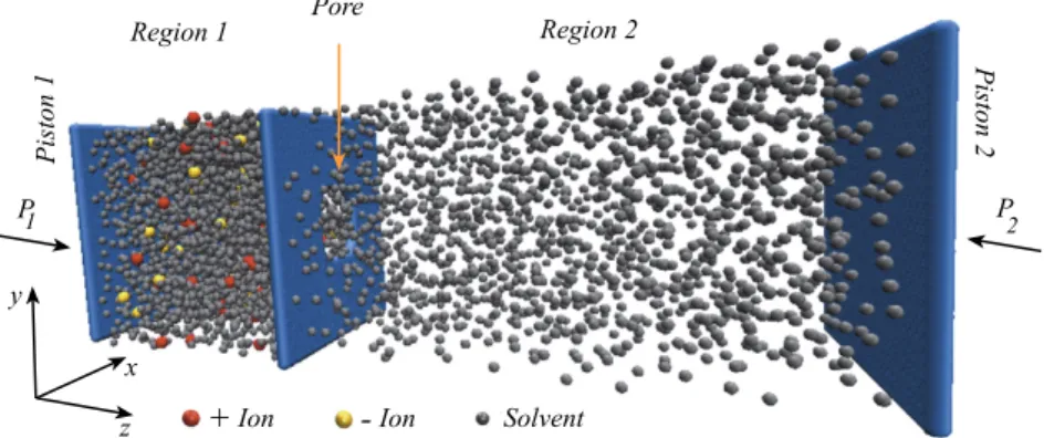 Fig. 1. System model we used for separating solute from solvent through nanopores. The mixture of solvent and ions, initially localised in the Region 1, is pushed by a piston against a middle membrane