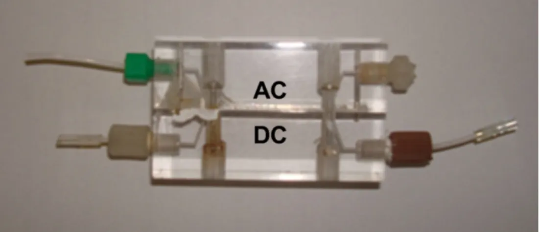 Figure 10 – Photograph of gas diffusion unit. DC, donor channel; AC, acceptor channel