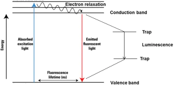 Figure 6 shows fluorescence emission spectra of QDs, acquired during a synthesis. It  presents a characteristic Gaussian shape and results from the recombination of the  electron-hole pair