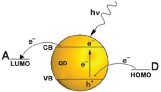 Figure 8 – Electron transfer quenching pathways of QD particle by electron acceptor (A)  or electron donor (D) units