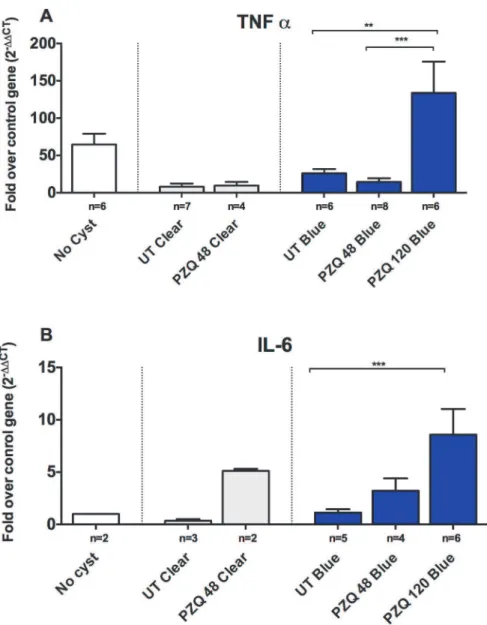 Fig 3. Upregulation of proinflammatory genes in EB capsules compared to clear capsules