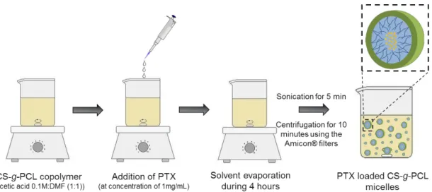 Figure 3.2 – Schematic representation of the method used to prepare PTX loaded CS-g-PCL micelles
