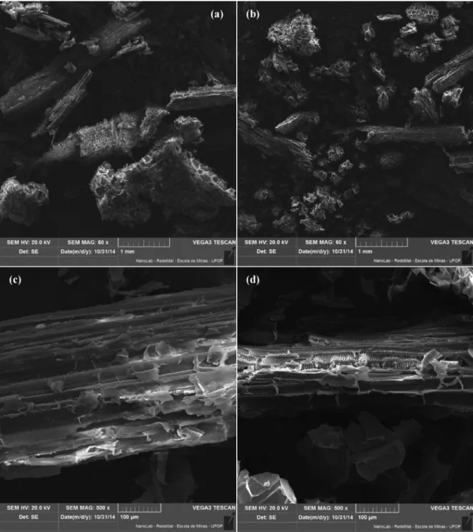 Fig. 3. SEM images of SB (a and c) and STA (b and d) at 60 and 500 fold magnification.