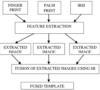 Fig 1. Flow diagram of proposed work. FINGER PRINT PALM PRINT IRIS FEATURE EXTRACTION EXTRACTED IMAGE EXTRACTED IMAGE  EXTRACTED IMAGE 