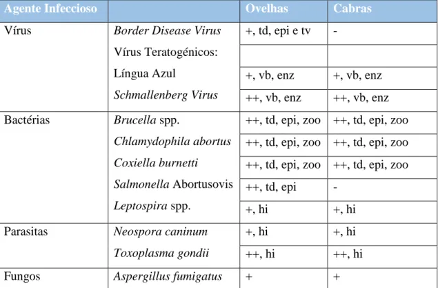 Tabela 5 - Diagnósticos Diferenciais de etiologia infecciosa em abortos de pequenos ruminantes, adaptado de  Borel, N., 2014