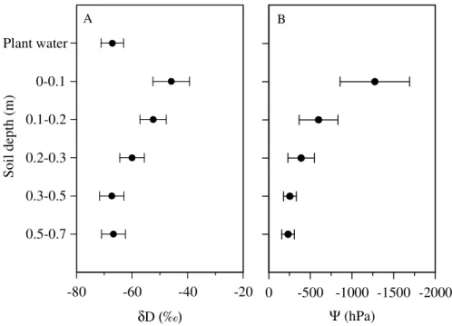Fig. 3. Isotopic signatures, δD (‰) of plant and soil water of the tree clusters (A) and corresponding soil water potentials (B)