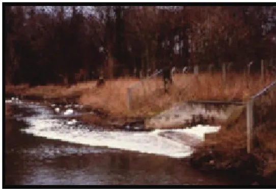 FIGURA 2 – Poluentes lançados em um determinado rio.