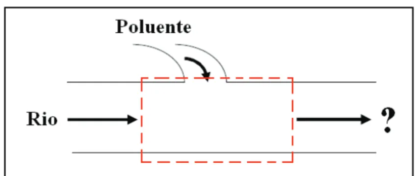 FIGURA 9 – Diagrama que representa a taxa de variação da quantidade de conservação no rio.