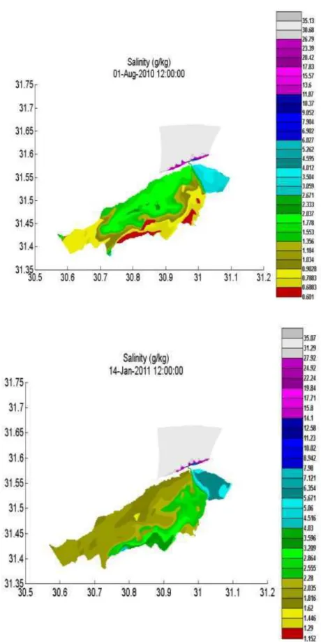 Fig. 11. Spatial distributions of simulated salinity in August (Left) and January (Right) 