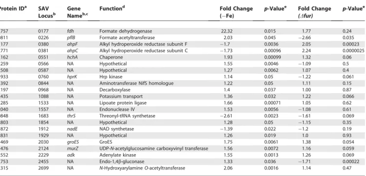 Table 4. Proteins Affected by Iron Independently of Fur