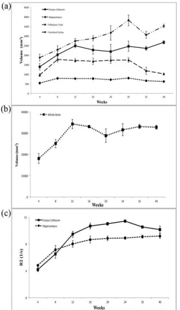 Fig 2. The changes in (a) regional brain size and (b) whole brain size in 4- to 40-week-old developing rabbit brains