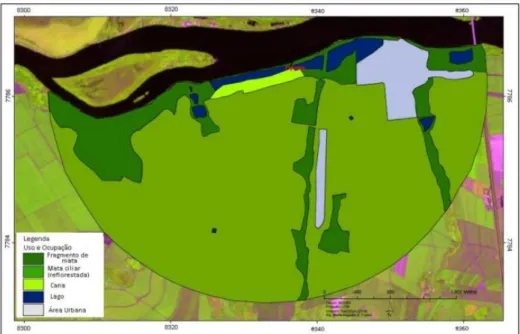 Figura 5: Imagem Landsat do buffer de 3km para avaliação da matriz do entorno da área de Figueira