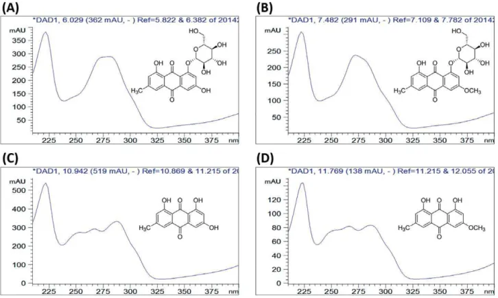 Figure 1. The structures and UV spectrums of four anthraquinones. (A) EMG; (B) PHG; (C) EM; (D) PH.