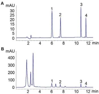 Figure 2. HPLC chromatograms of (A) four mixed reference standards and (B) PMR sample solution