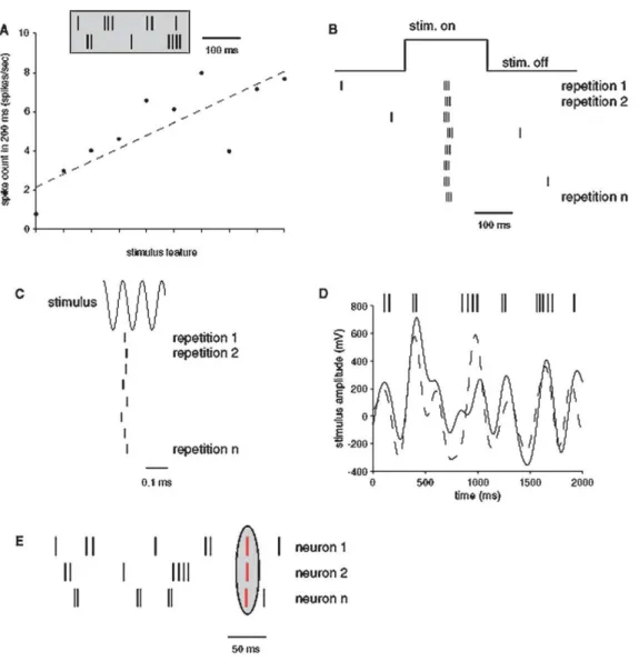 Figure 2.14: Schematic illustration of different coding schemes and their corresponding temporal resolutions