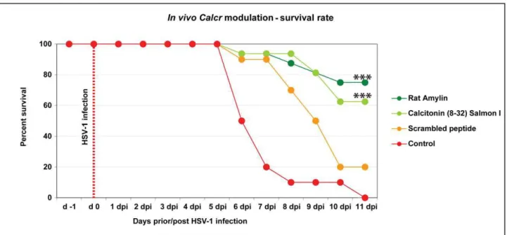 Figure 8. In vivo modulation of CalcR by rat Amylin, improved significantly the survival of DA rats