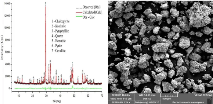 Figure  4.  3  X-ray  difractogram  after  applying  Rietveld  refining  method  and  SEM  surface  appearance; activation at 673 K (400 °C)