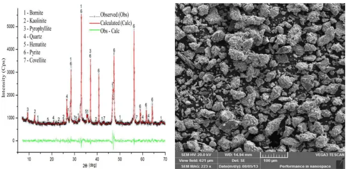 Table IV. 1: Relative amount of sulfide phases produced by thermal activation; reaction time of  60minutes)