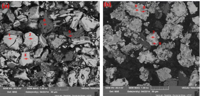 Figure  4.  5  An  overview  of  the  surface  appearance  of  the  original  chalcopyrite  and  synthetic  bornite; SEM (1000x)