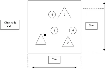 Figura 1. Protocolo de avaliação do conhecimento tático: oferecer-se e orientar-se 